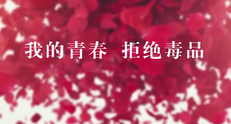 中学生禁毒教育宣传片视频《致青春》