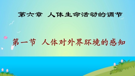 八年级上册生物6.1《人体对外界环境的感知》讲义