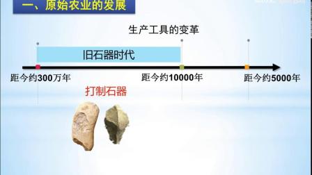 初中历史七年级上册第2课《原始农耕生活》讲义