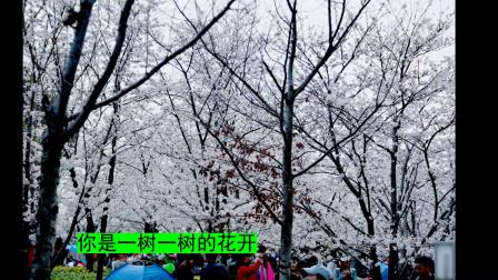 九年级语文诗歌讲义《你是人间的四月天/林徽因》