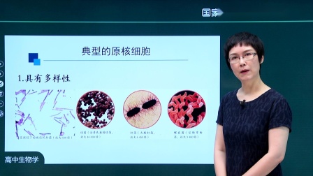 高一生物(人教版)第1章 第2节 细胞的多样性和统一性