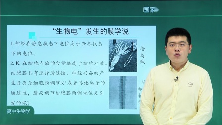 高二生物学(人教版)2.3 神经冲动的产生和传导 第一课时