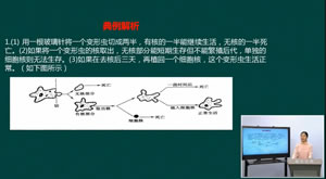 高考生物复习：细胞的基本结构(三)