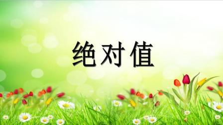 初一数学七年级上册课程《有理数-绝对值》